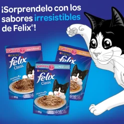 Felix - Purina Húmedos^Felix Gatitos Pescado en Salsa 85gr Pack 15 Unidades