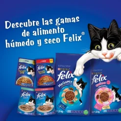 Felix - Purina Adultos (1 A 7 Años)^Felix Megamix Gato Adulto 3 kg