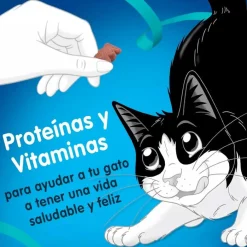 Felix - Purina Galletas^Felix Travesuras Camaron, Salmón y Atun 60gr Pack 15 unidades