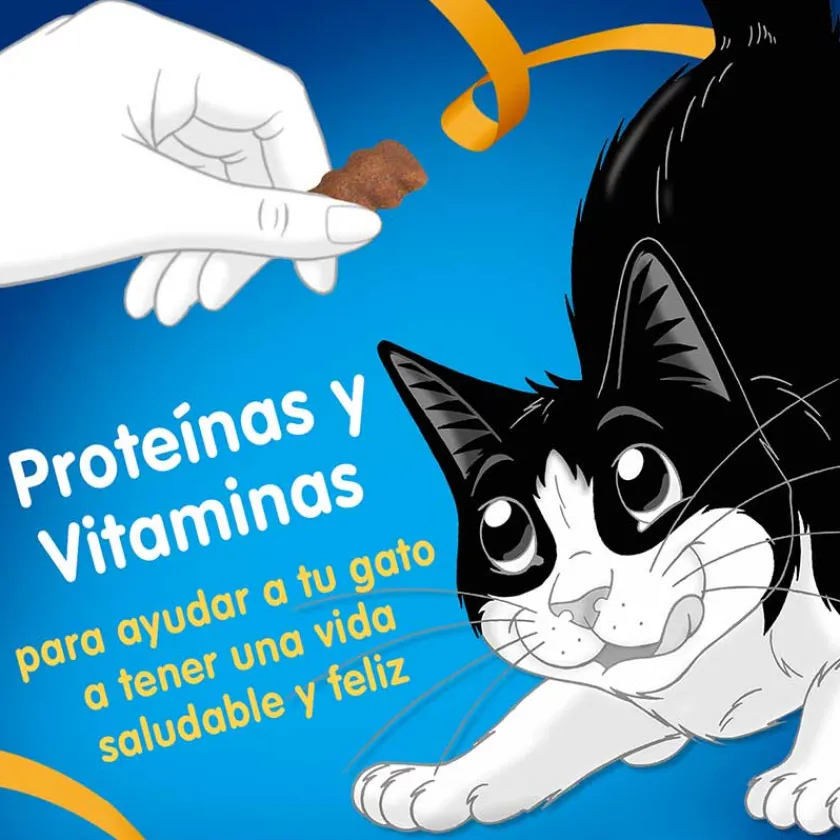 Felix - Purina Galletas^Felix Travesuras Pollo y Pavo 60gr Pack 15 Unidades