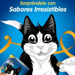 Felix - Purina Galletas^Felix Travesuras Pollo y Pavo 60gr Pack 15 Unidades