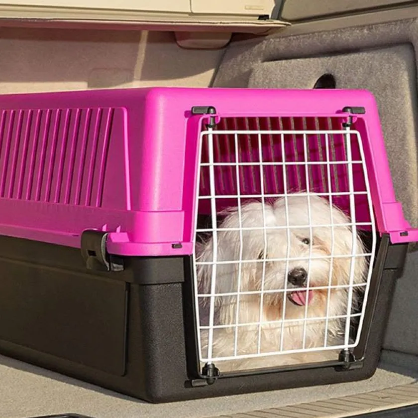 Ferplast Casas Y Transportadoras Para Gatos | Casas Y Transportadoras Para Perros^Transportador Atlas 20 (hasta 8Kg)