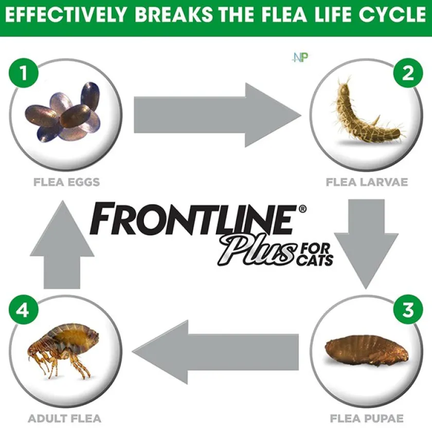 Frontline Antipulgas Y Garrapatas^Plus Pipetas Gatos