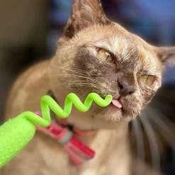 Gigwi Hierba Gatera | Juguetes^Raton con Catnip Para cuidado dental Verde