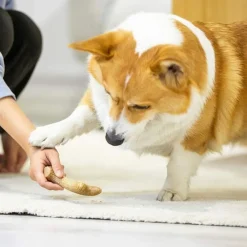 Gigwi Juguetes^Wooden Antler Juguete masticable para perros
