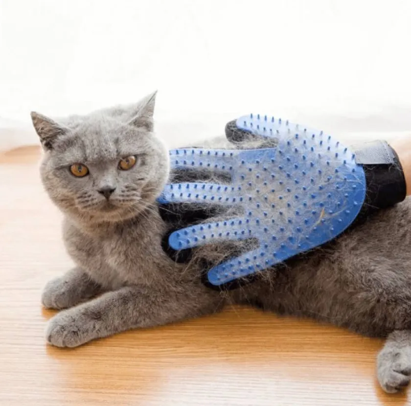 MB Peines Y Cepillos Para Gatos | Peines Y Cepillos Para Perros^Guante quita pelos