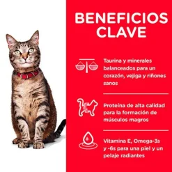 Hills Adultos (1 A 7 Años)^Cat Adult 1-6 3.17kg