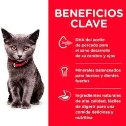 Hills Gatitos (0 A 12 Meses)^Cat Kitten Indoor 1.58kg