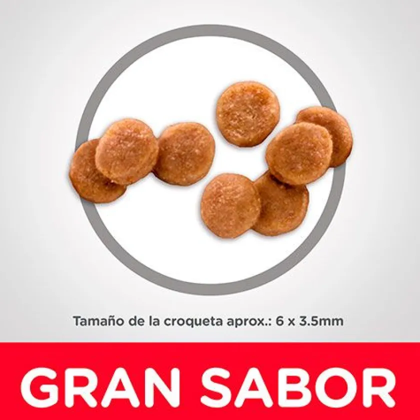 Hills Gatitos (0 A 12 Meses)^Cat Kitten 1.58kg