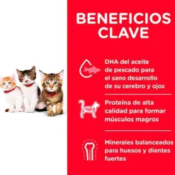 Hills Gatitos (0 A 12 Meses)^Cat Kitten 1.58kg