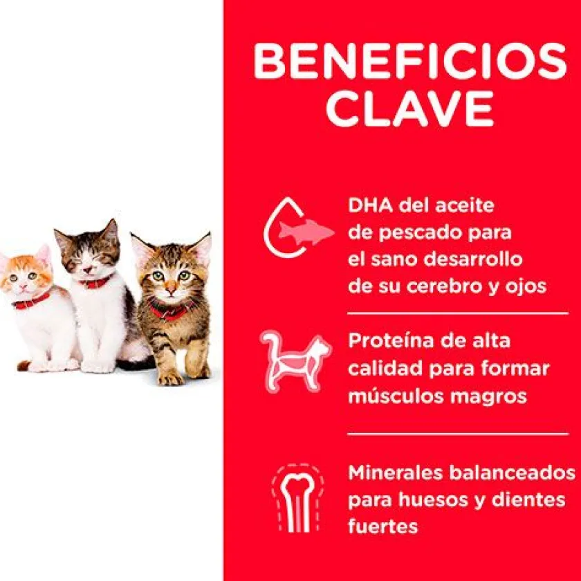 Hills Gatitos (0 A 12 Meses)^Cat Kitten 1.58kg