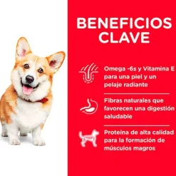Hills Adultos (1 A 7 Años)^Dog Adult Small 2 kg