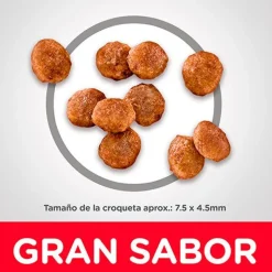 Hills Adultos (1 A 7 Años)^Dog Adult Small Paws 2.04kg