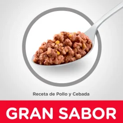 Hills Húmedos | Adultos (1 A 7 Años)^Dog Adulto Pollo y Cebada 370gr X 12 Unidades