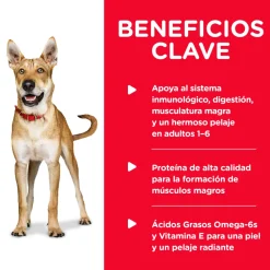 Hills Húmedos | Adultos (1 A 7 Años)^Dog Adulto Pollo y Cebada 370gr X 12 Unidades