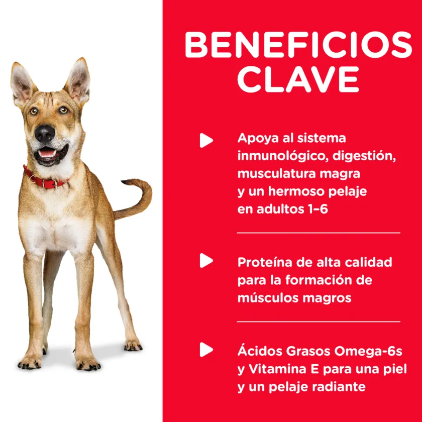 Hills Húmedos | Adultos (1 A 7 Años)^Dog Adulto Pollo y Cebada 370gr X 12 Unidades