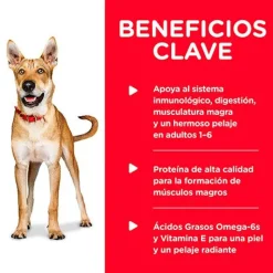 Hills Húmedos^Dog Adulto Pollo y Cebada 370gr