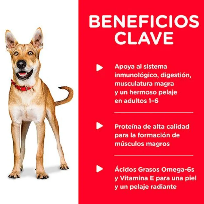 Hills Húmedos^Dog Adulto Pollo y Cebada 370gr