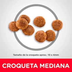 Hills Cachorros (0 A 12 Meses)^Dog Puppy 2.04kg