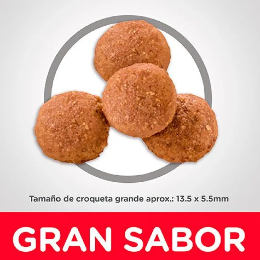 Hills Cachorros (0 A 12 Meses)^Dog Puppy Large 13.6kg