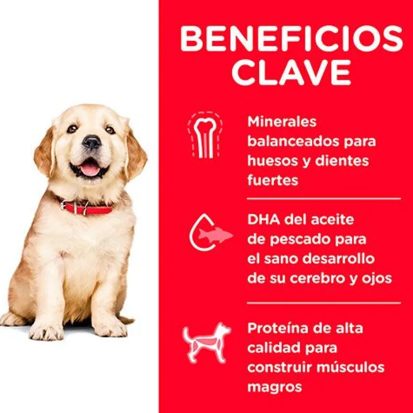 Hills Cachorros (0 A 12 Meses)^Dog Puppy Large 13.6kg