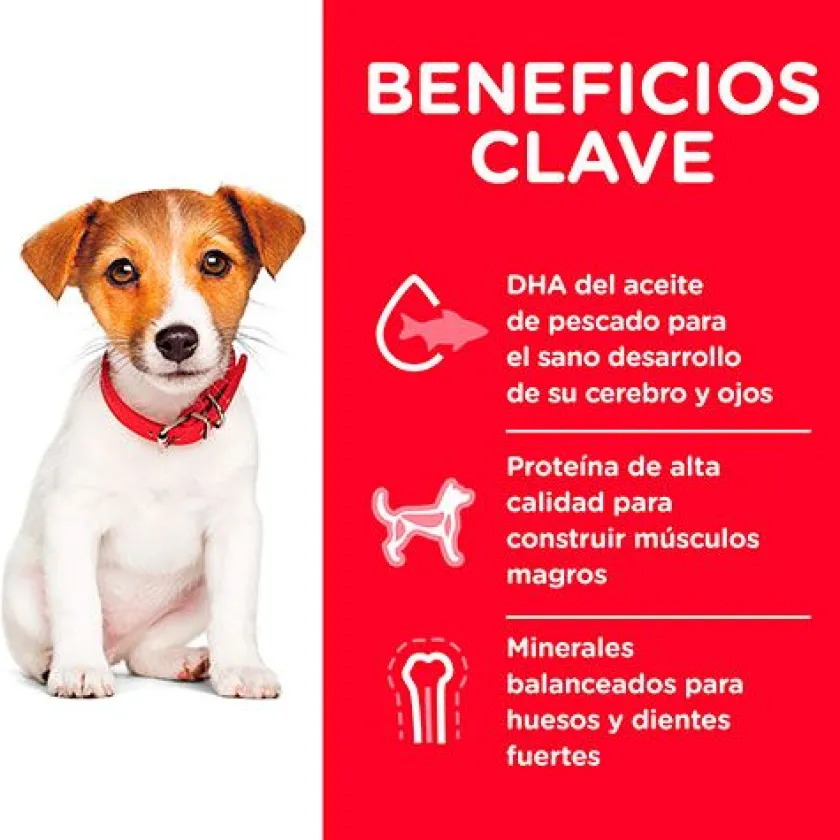 Hills Cachorros (0 A 12 Meses)^Dog Puppy Small 2.04kg