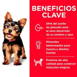 Hills Cachorros (0 A 12 Meses)^Dog Puppy Small Paws 2.04kg