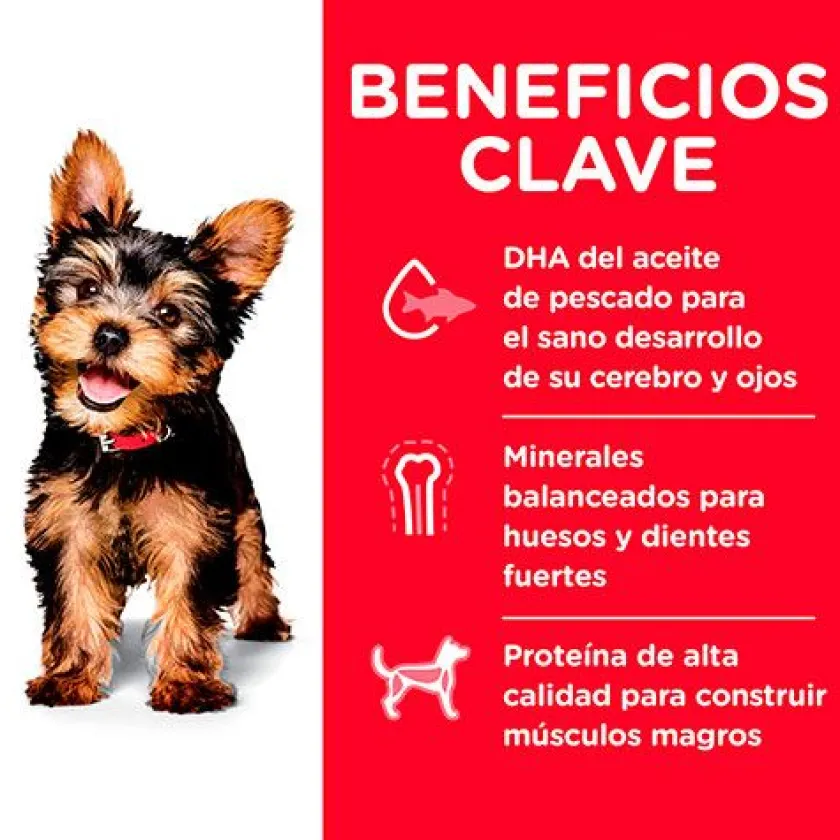 Hills Cachorros (0 A 12 Meses)^Dog Puppy Small Paws 2.04kg