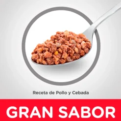 Hills Húmedos^Dog Senior Lata Pollo y Cebada 370gr X 12 Unidades