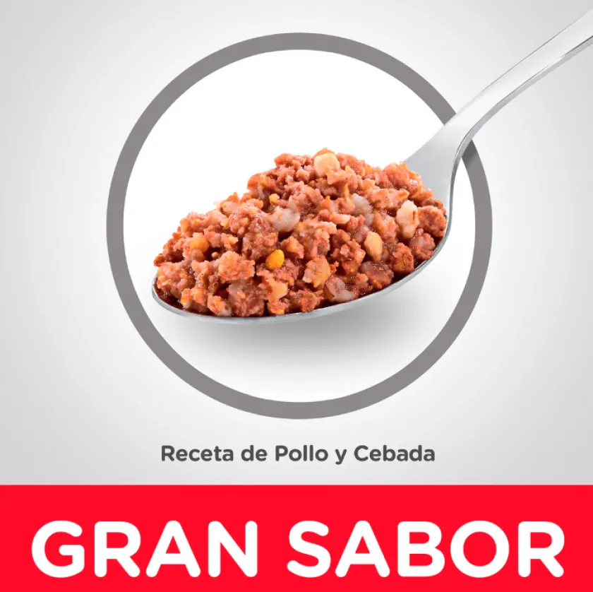 Hills Húmedos^Dog Senior Lata Pollo y Cebada 370gr X 12 Unidades