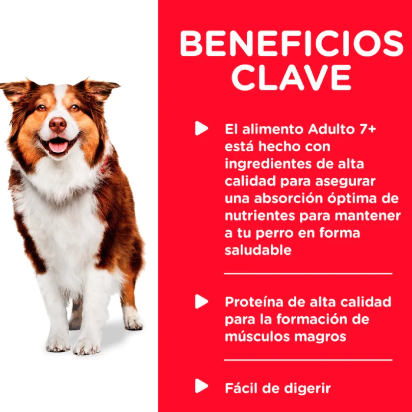 Hills Húmedos^Dog Senior Lata Pollo y Cebada 370gr X 12 Unidades