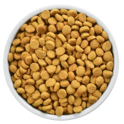 Hills Alimentación Medicada | Control Peso^r/d Felino Weight Loss 3.8kg