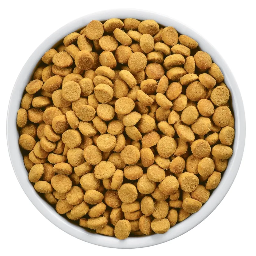 Hills Alimentación Medicada | Control Peso^r/d Felino Weight Loss 3.8kg