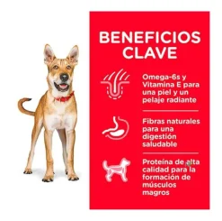 Hills Adultos (1 A 7 Años)^Hill's Science Diet Adult Chicken & Barley Recipe dog food 7,5 kg