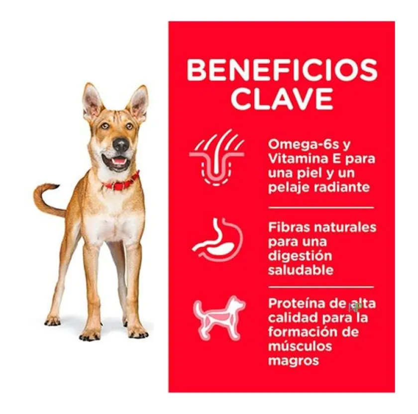 Hills Adultos (1 A 7 Años)^Hill's Science Diet Adult Chicken & Barley Recipe dog food 7,5 kg