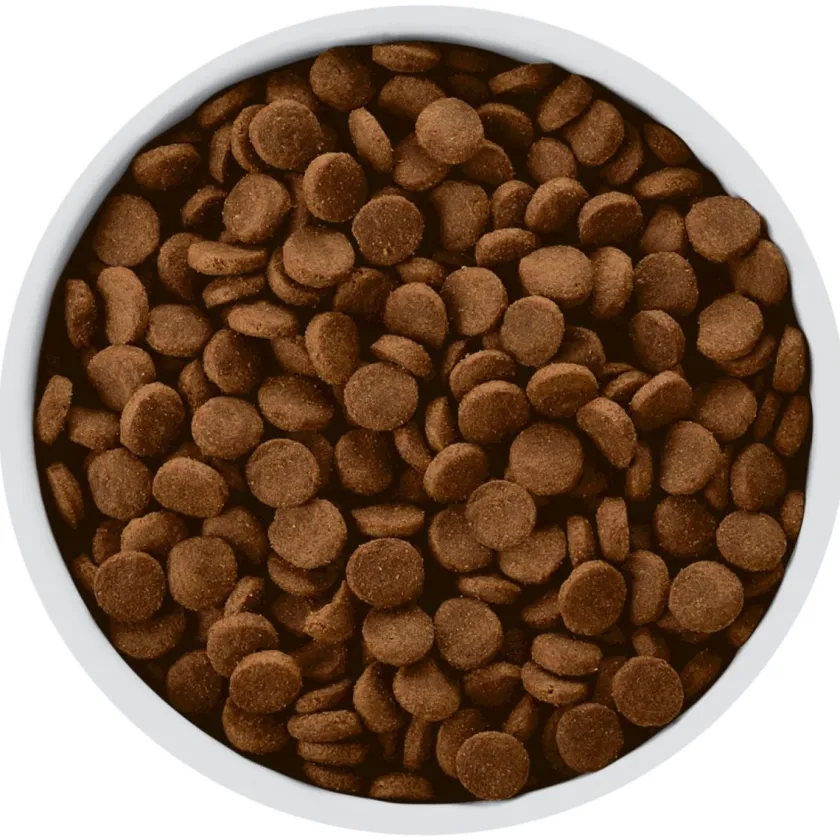 Hills Alimentación Medicada^w/d Canino Cuidado Digestivo, Diabetes, Manejo de Peso 1.5kg