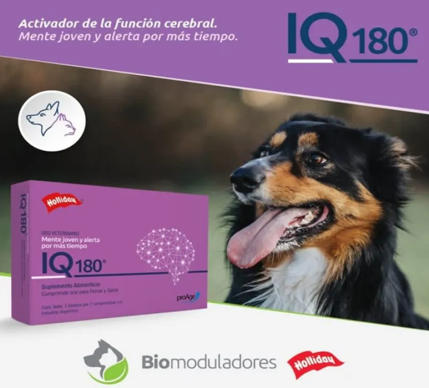 Holliday Vitaminas Y Suplementos^IQ 180 Sistema Nervioso 21 Comprimidos