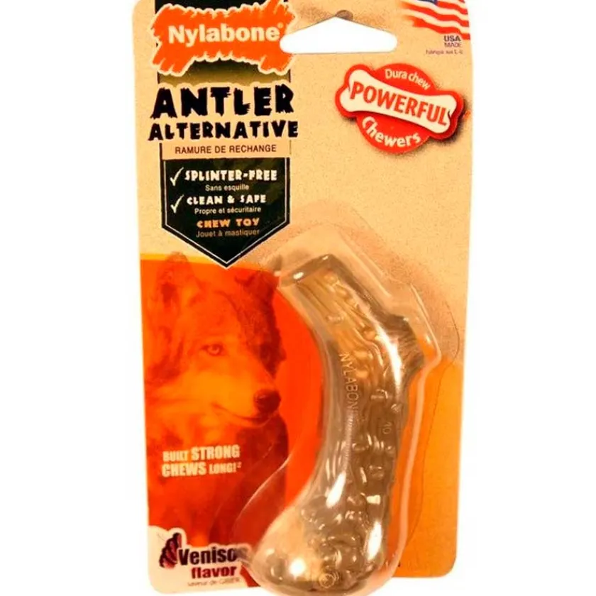 Nylabone Cuidado Dental | Dentales^Juguete Antler