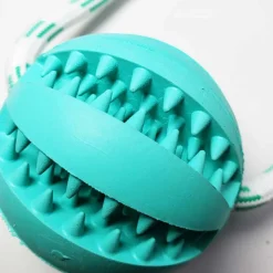 Juguetes^Juguete pelota beisbol dental con ventosa y cuerda