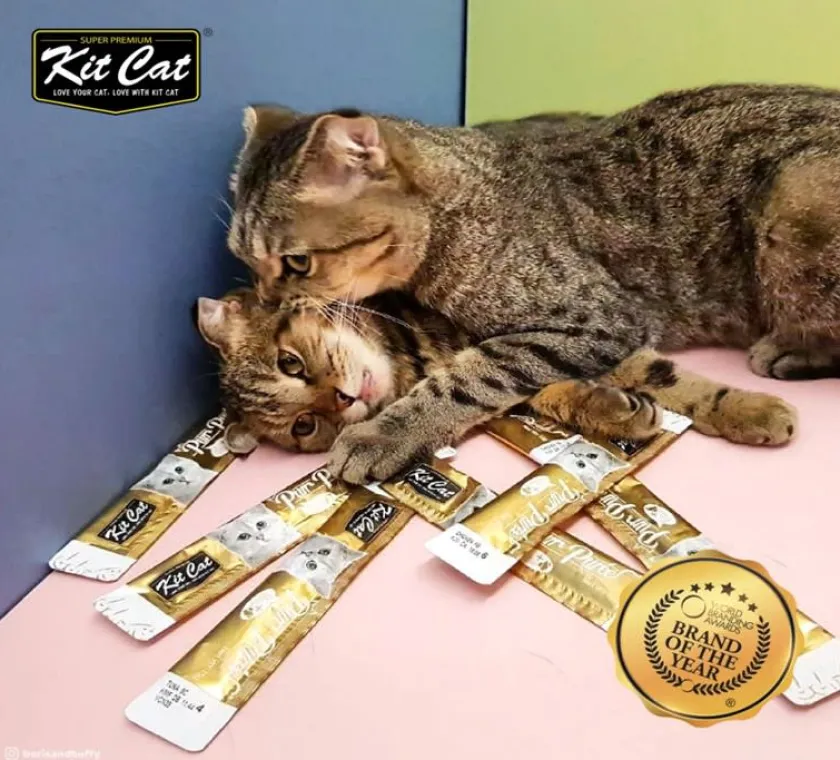 KIT CAT Galletas^Plus+ Chicken & Fiver Hairball 4 x15gr