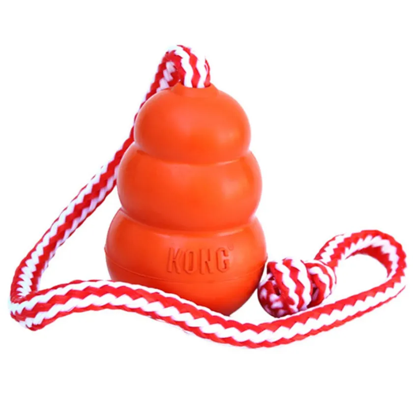 Kong Juguetes^Aqua LARGE