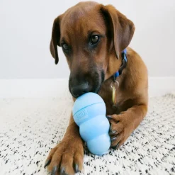 Kong Juguetes^Puppy MEDIUM