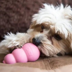 Kong Juguetes^Puppy SMALL