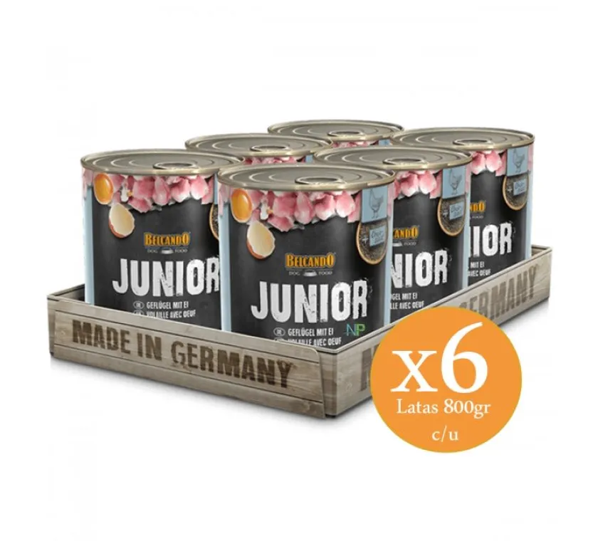 Belcando Húmedos^Lata Junior (Ave y Huevo) 800gr x 6 un