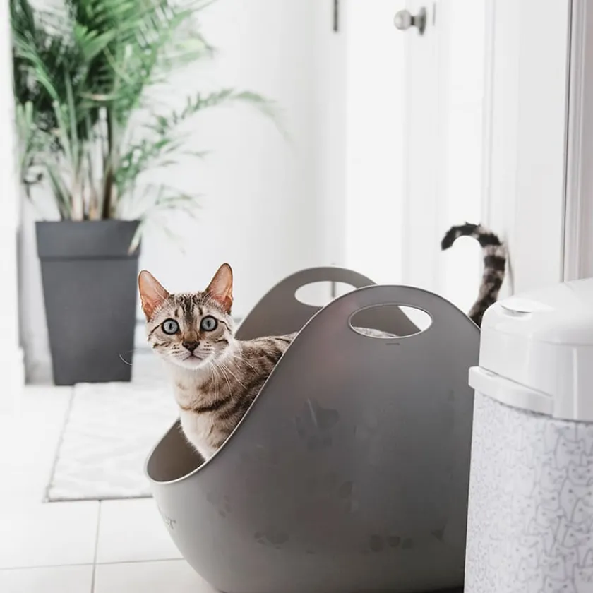 Gigwi Areneros | Baños Sanitarios (areneros)^Litter Box Bandeja Sanitaria con pala para Gatos