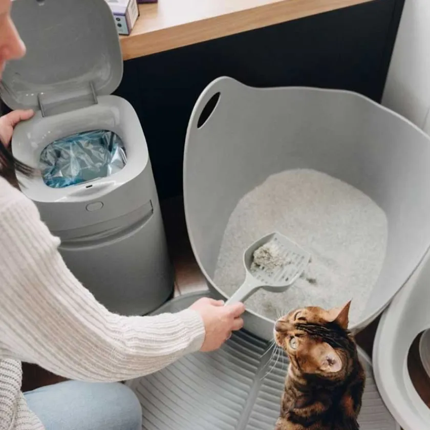 Litter Genie Areneros | Baños Sanitarios (areneros)^Pail Design Plus Basurero para arena sanitaria