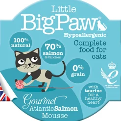 Húmedos^Little Big Paw Snack para Gatos Sabor Salmón Atlantico 85gr
