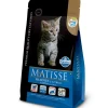 Matisse Gatitos (0 A 12 Meses)^Gatitos Filhotes (Gatitos) 7.5kg