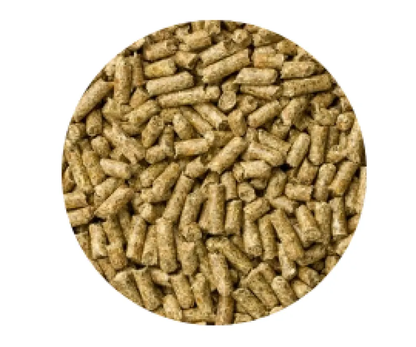 Mazuri Cobayos / Cuys^Cobayo Cuy 1kg