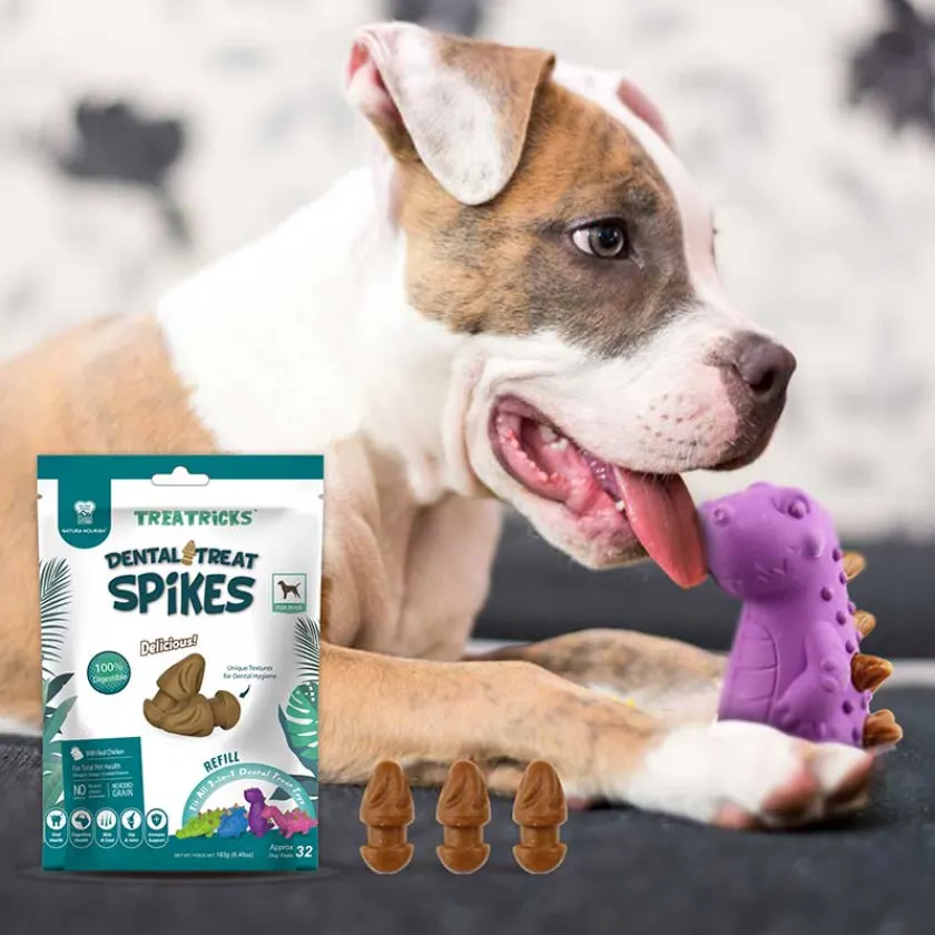 Natura Nourish Dentales^Snack Dental Treat Spikes Repuesto 183gr